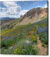 Mineral Basin Wildflowers Canvas Print