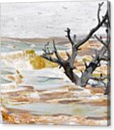 Mineralized Tree Canvas Print