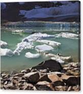 Mini Icebergs Canvas Print