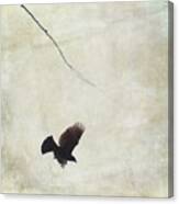 Minimalistic Bird In Flight Canvas Print