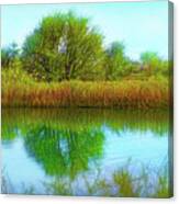 Mirror Of Silent Clarity Canvas Print