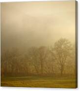 Mist In The Forest Canvas Print