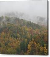 Misty Autumn Canvas Print