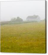 Misty Ireland Morning Canvas Print