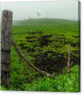 Misty Morning Pasture Canvas Print