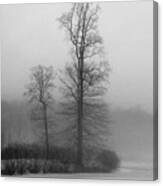 Misty Winter Day Canvas Print
