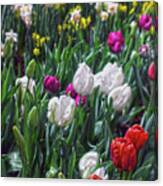 Mixed Spring Flowers Canvas Print