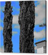 Modern Suburban House Hayward Hills With Cedar Trees Hayward California 36 Canvas Print