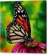 Monarch Canvas Print