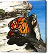 Monarch On Birch Canvas Print
