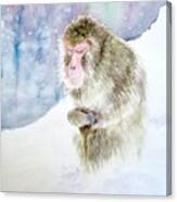 Monkey In Meditation Canvas Print