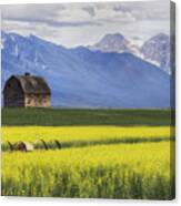 Montana Barn Canvas Print