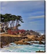Monterey Ocean Cypress Trees Pacific Ocean Color Canvas Print