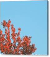 Moon Over October Canvas Print