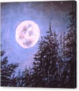 Moon Sight Canvas Print