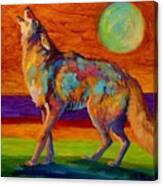 Moon Talk - Coyote Canvas Print