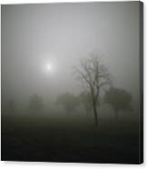 #moon,  #trees And  #fog Canvas Print
