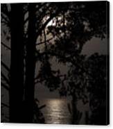 Moonlight Over The Pacific Canvas Print