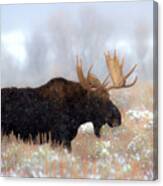 Moose In The Fog Silhouette Canvas Print