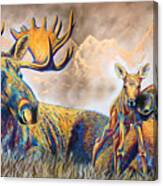 Moose Meadows Canvas Print