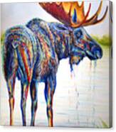 Moose Sighting Canvas Print