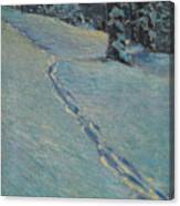 Morning After Snow, High Park Canvas Print