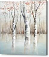 Morning Birch Trees Canvas Print