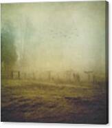 Morning Flight In Fog Canvas Print
