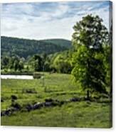 Morning Meadow Canvas Print