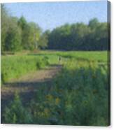 Morning Walk At Langwater Farm Canvas Print
