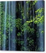 Mossbrae Falls Canvas Print