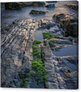 Mossy Rocks At Bald Head Cliff Canvas Print
