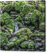 Mossy Rocks Photograph by Jim Chamberlain - Pixels