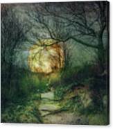Mossy Trail At Nightfall Canvas Print