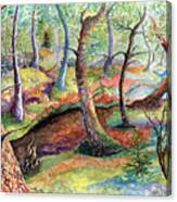Mossy Trail Canvas Print