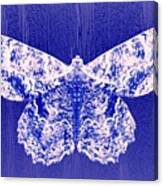 Moth Man Canvas Print