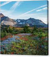 Mount St Helens Glorious Field Of Spring Wildflowers Canvas Print