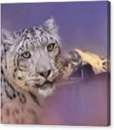 Mountain Guardian Snow Leopard Art Canvas Print