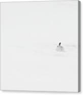 Mountain Hare Small In Frame Right Canvas Print