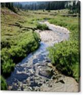Mountain Meadow And Stream Canvas Print