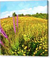 Mountain Of Summer Flowers In The Blue Ridge Ap Canvas Print