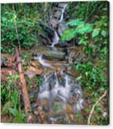 Jungle Waterfall Canvas Print