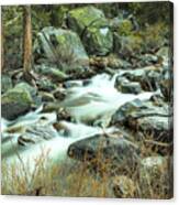 Mountain Stream Yosemite 2 Canvas Print