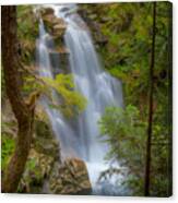 Mountain Waterfall 5613 Canvas Print