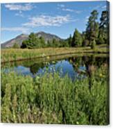 Mountains Reflected In A Pond Canvas Print