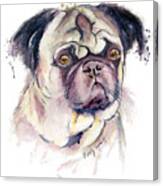 Mr Thinker Pug Watercolor Canvas Print