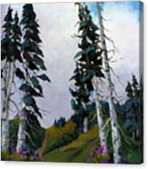 Mt. Rainier 3 Canvas Print