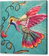 Multicolored Hummingbird Canvas Print