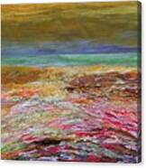 Multicolored Landscape I Canvas Print