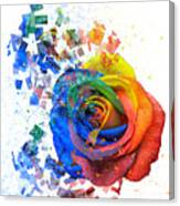 Multicolor Rose Digital Art on White Photograph by Barbara Dudzinska ...
